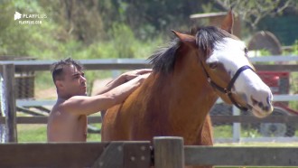 Em dia de sol, Jorge Sousa brinca com o cavalo Lyon: 'Molecão!'