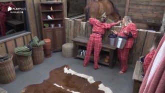 Hari conversa com cavalo: ‘Lyon, hoje acabei com minha vida’