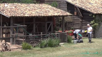 Viny imita Geraldo Luis para dizer que Jorge protege Andrea no jogo