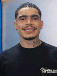Vivão