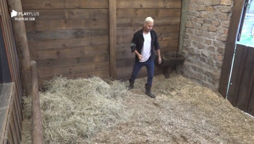 Viny Vieira acorda cedo para arrumar baia do cavalo Lyon