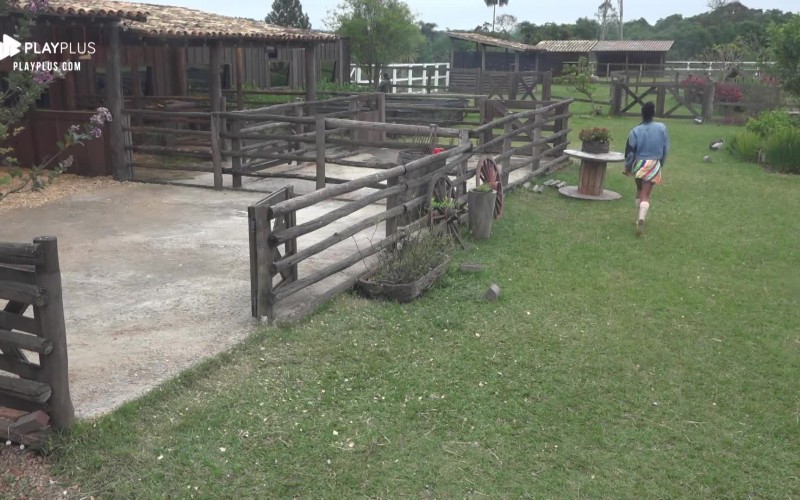 Sabrina Paiva cuida de ovelhas e conversa com bezerro: 